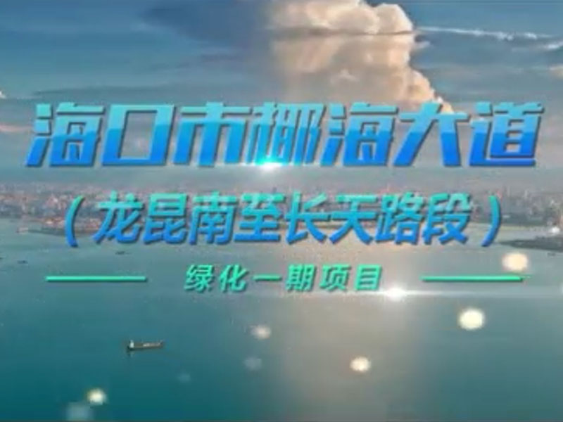 ?？谑幸４蟮谰G化一期項目