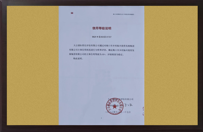 AA+信用主體信用等級(jí)