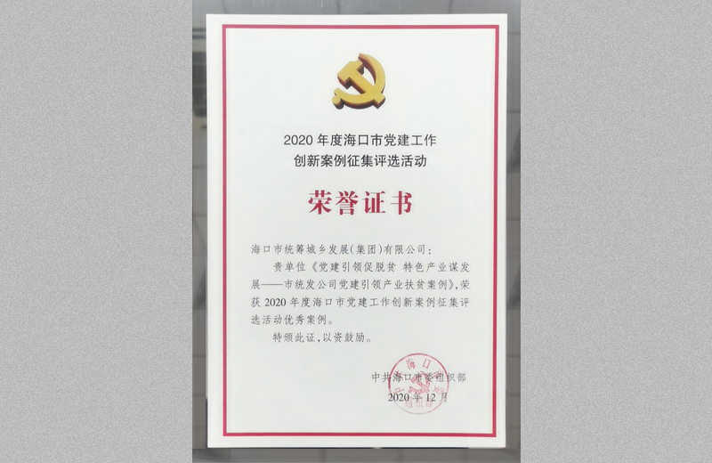 2020年度?？谑悬h建工作創(chuàng)新案例征集活動(dòng)優(yōu)秀案例